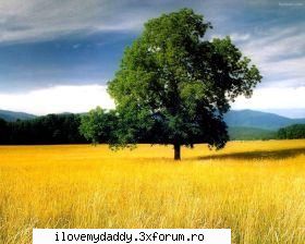 Nature Wallpapers - 25 Jpeg - 1280x1024 - Size: 9.16 Mb Download Link - Wallpapers