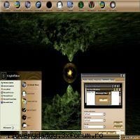 info:
you need to patch a small file named in windows xp in order to load unsigned themes and visual
